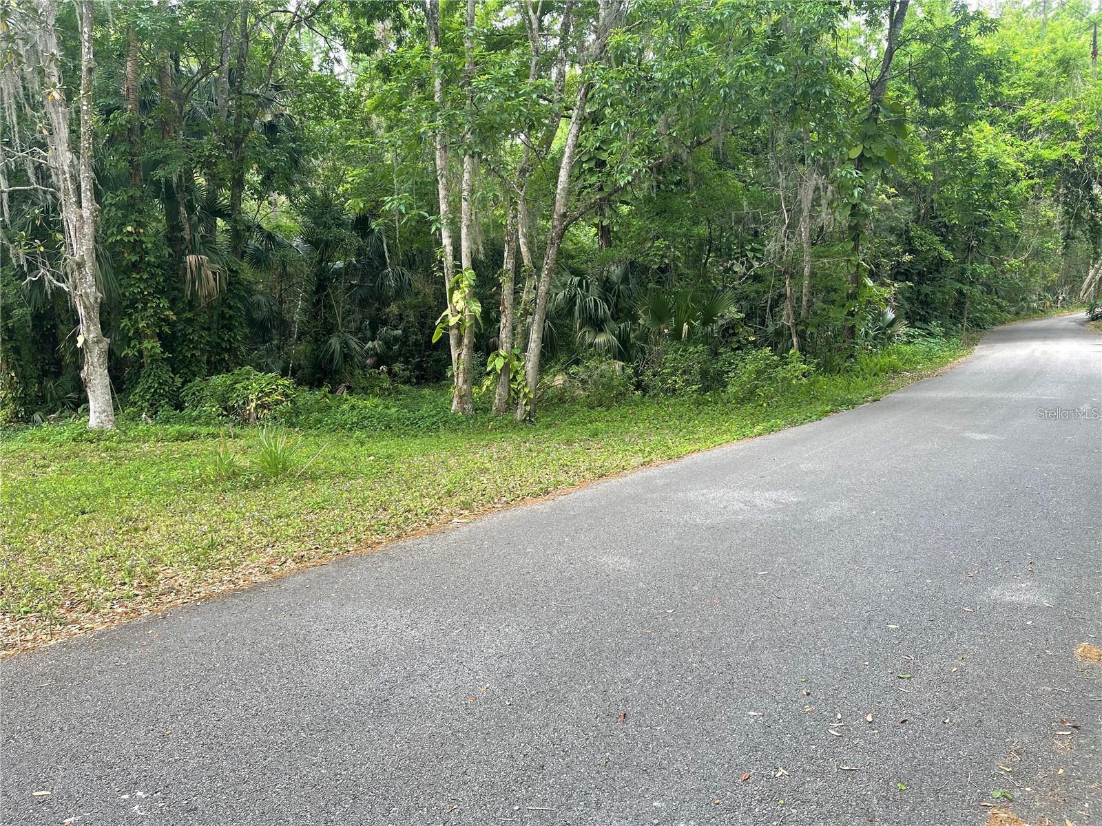242 FRASER RD, DEBARY, FL — photo 2