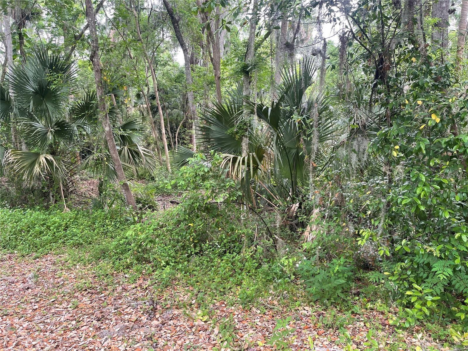 242 FRASER RD, DEBARY, FL — photo 4