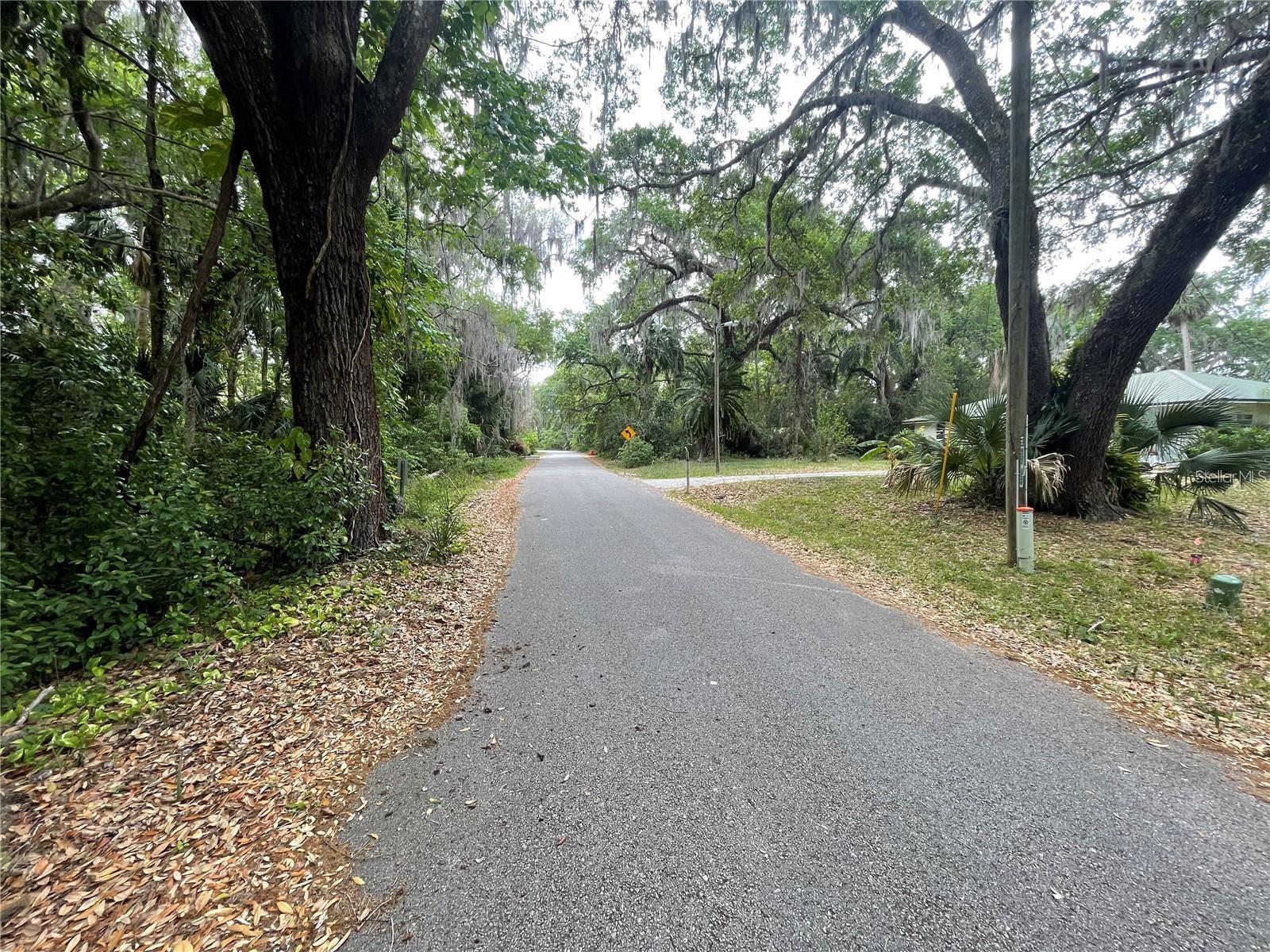 242 FRASER RD, DEBARY, FL — photo 5
