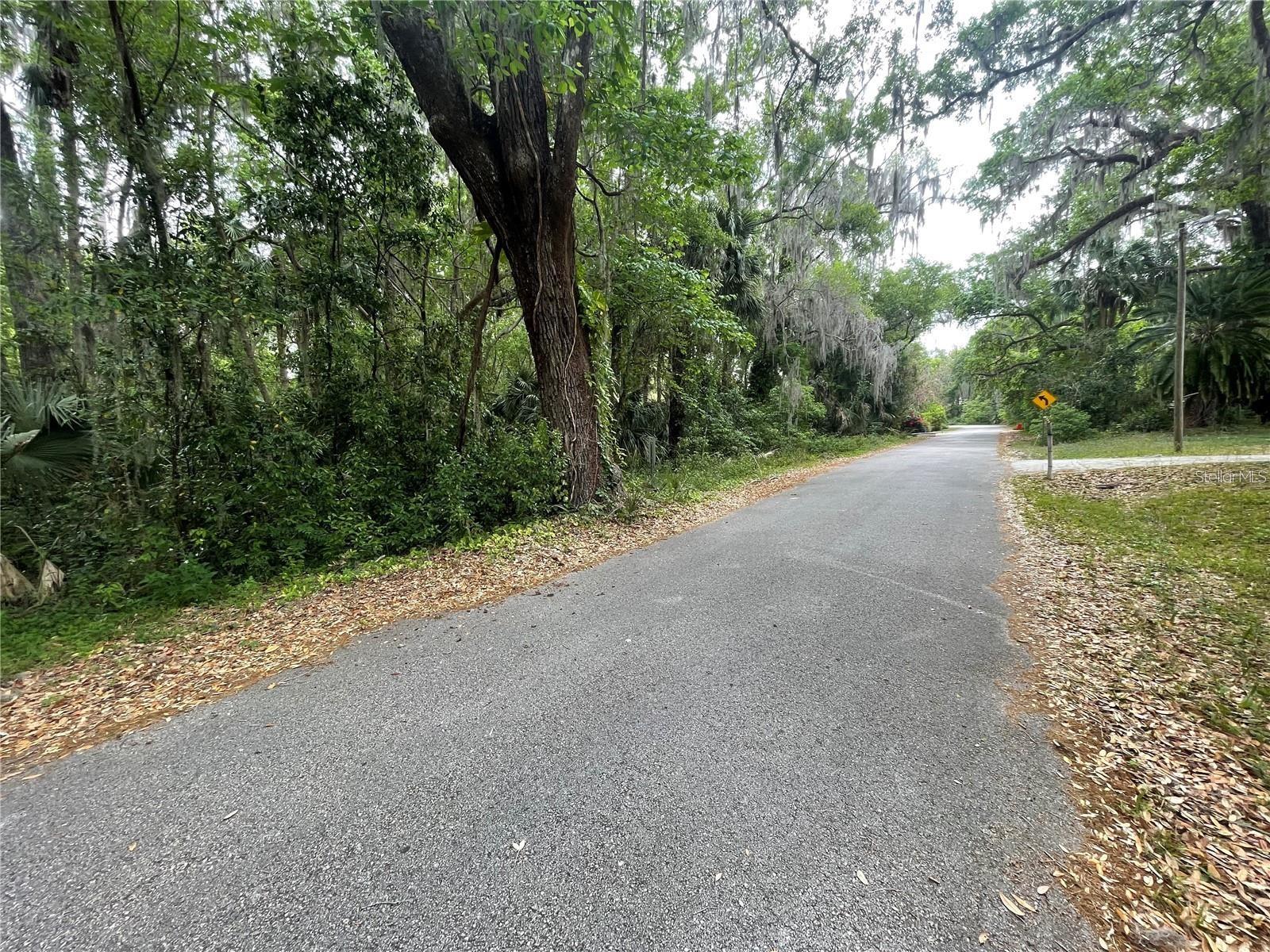 242 FRASER RD, DEBARY, FL — photo 6