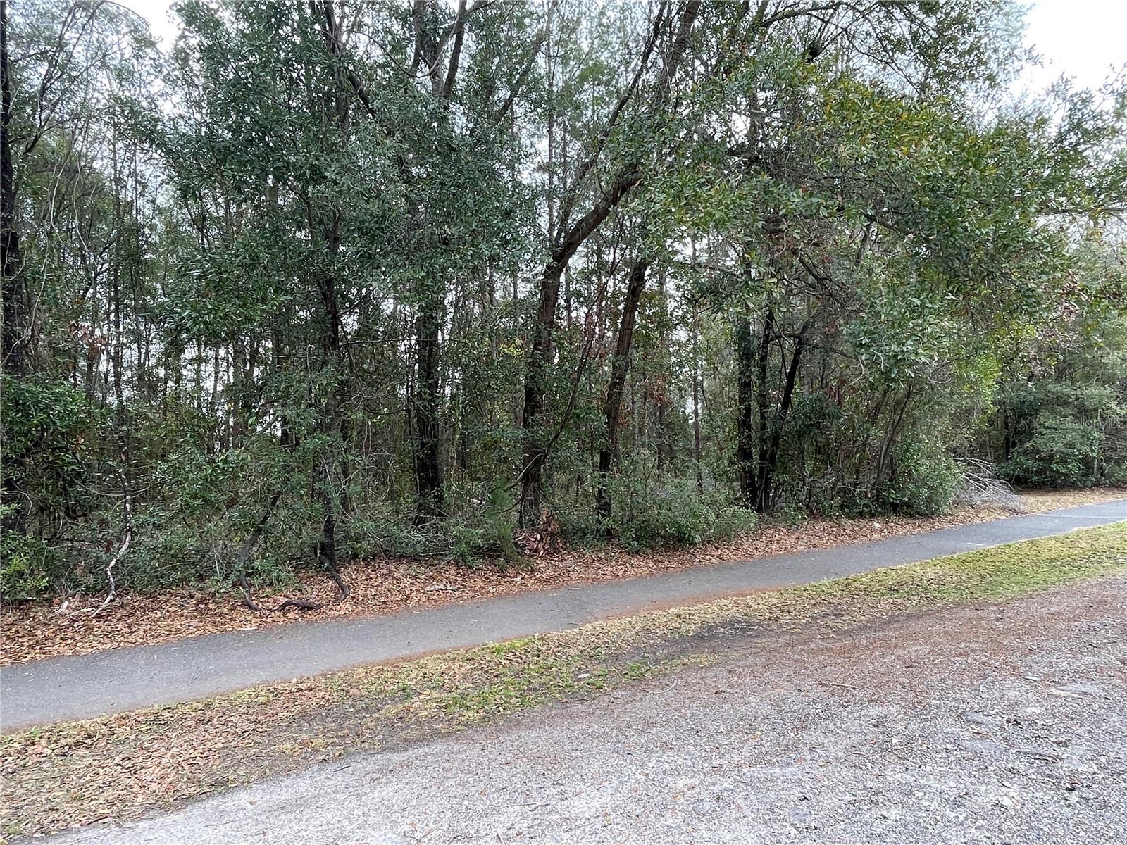 8717 SW ARCHER RD, GAINESVILLE, FL — photo 17