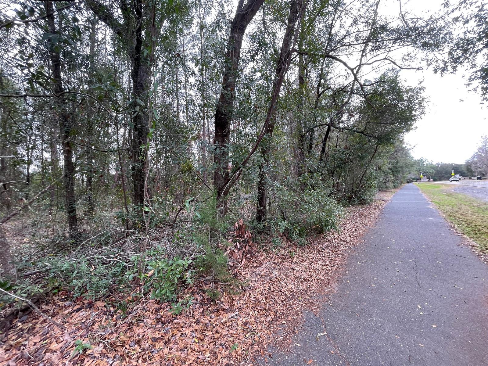 8717 SW ARCHER RD, GAINESVILLE, FL — photo 22