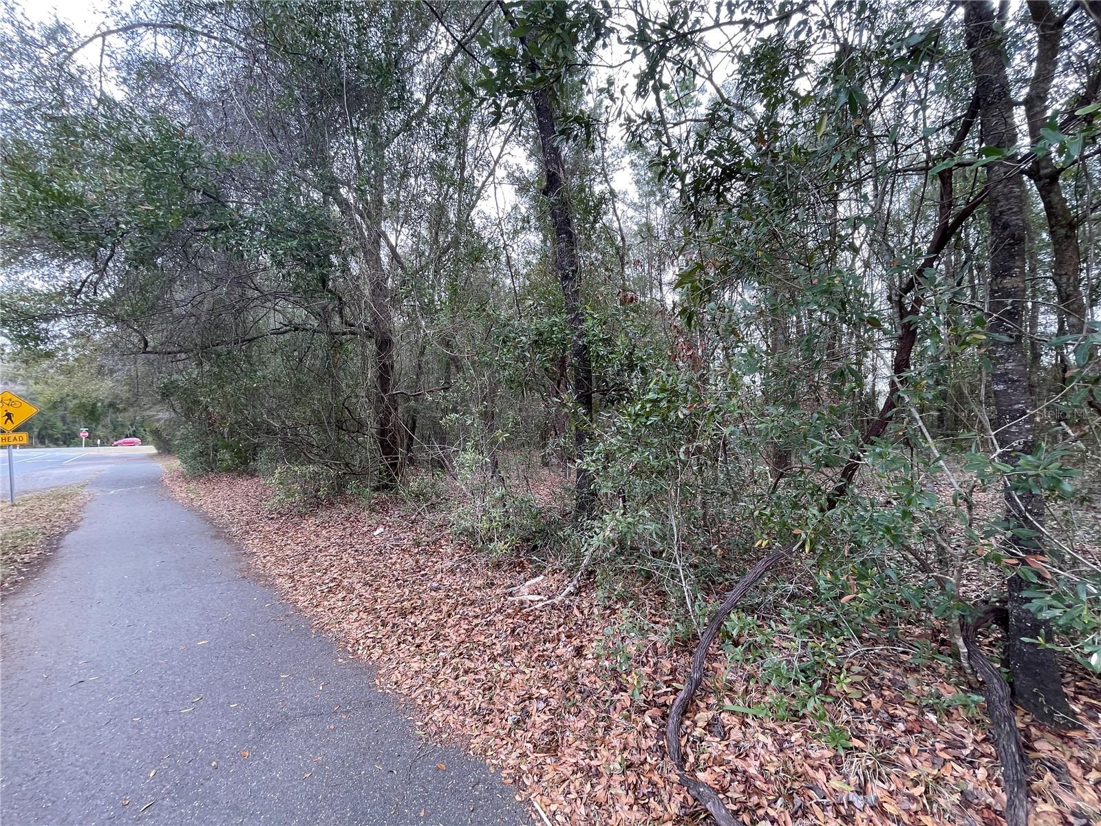 8717 SW ARCHER RD, GAINESVILLE, FL — photo 23
