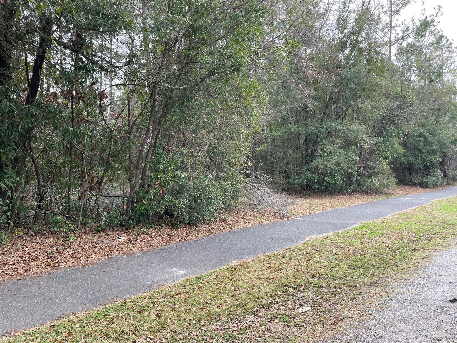 8717 SW ARCHER RD, GAINESVILLE, FL — photo 24
