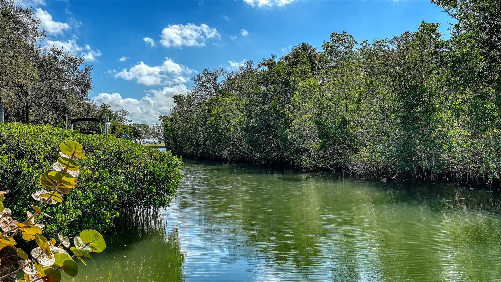 3131 BAYOU SOUND, LONGBOAT KEY, FL — photo 15