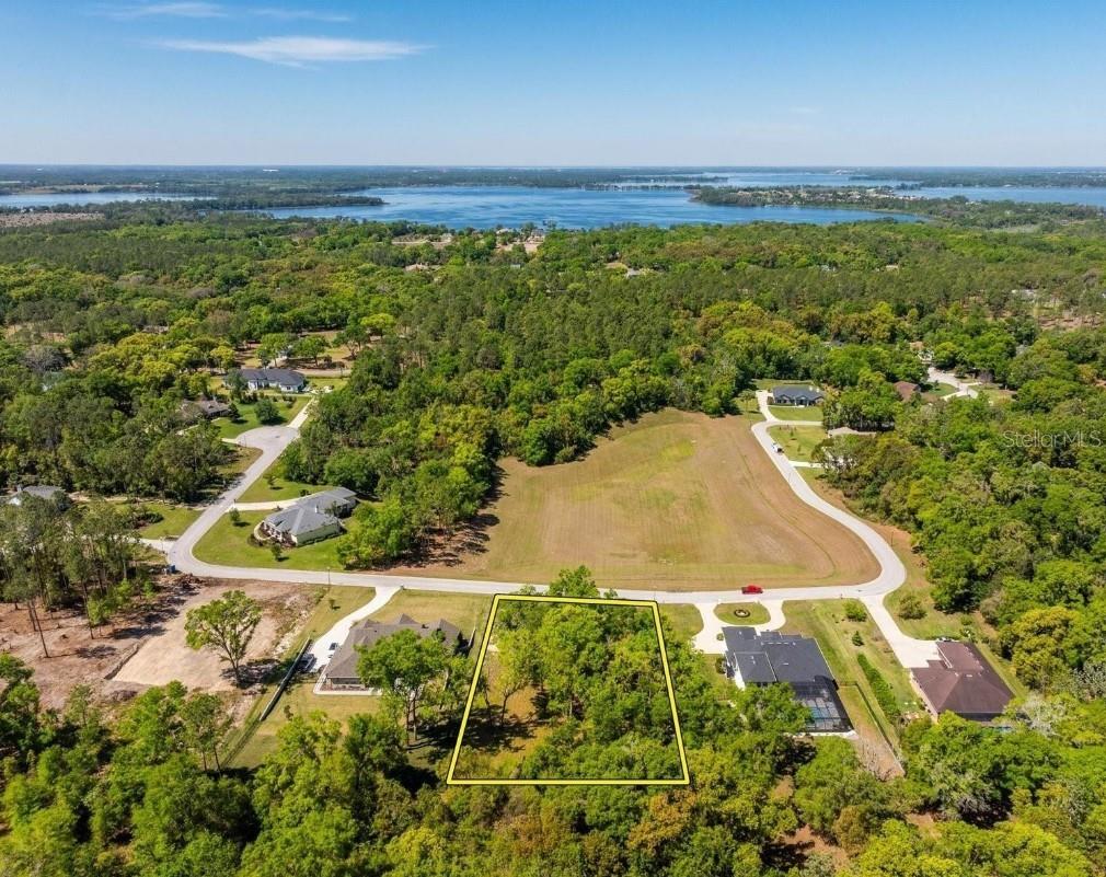 7041 NORNE LN, MOUNT DORA, FL — photo 3