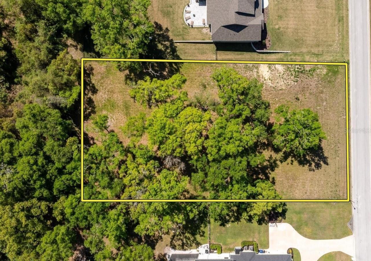 7041 NORNE LN, MOUNT DORA, FL — photo 7