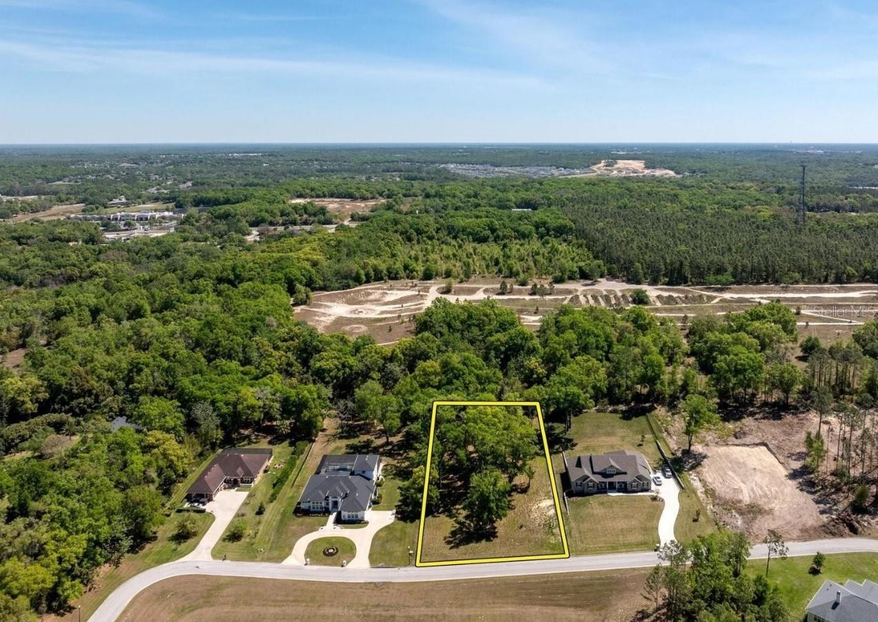 7041 NORNE LN, MOUNT DORA, FL — photo 11