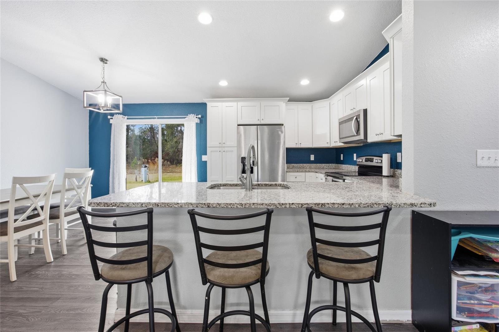 224 FISHER RD, OCKLAWAHA, FL — photo 11