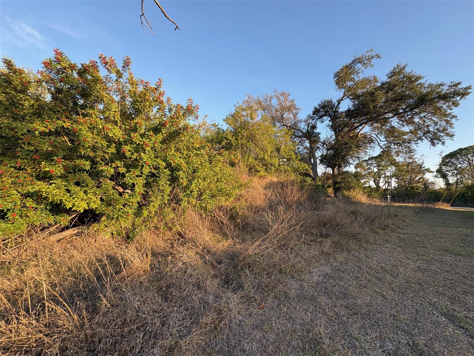 13333 PALAU CIR, PORT CHARLOTTE, FL — photo 4