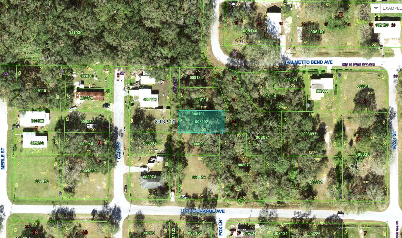 LITTLE ORANGE AVE, MULBERRY, FL