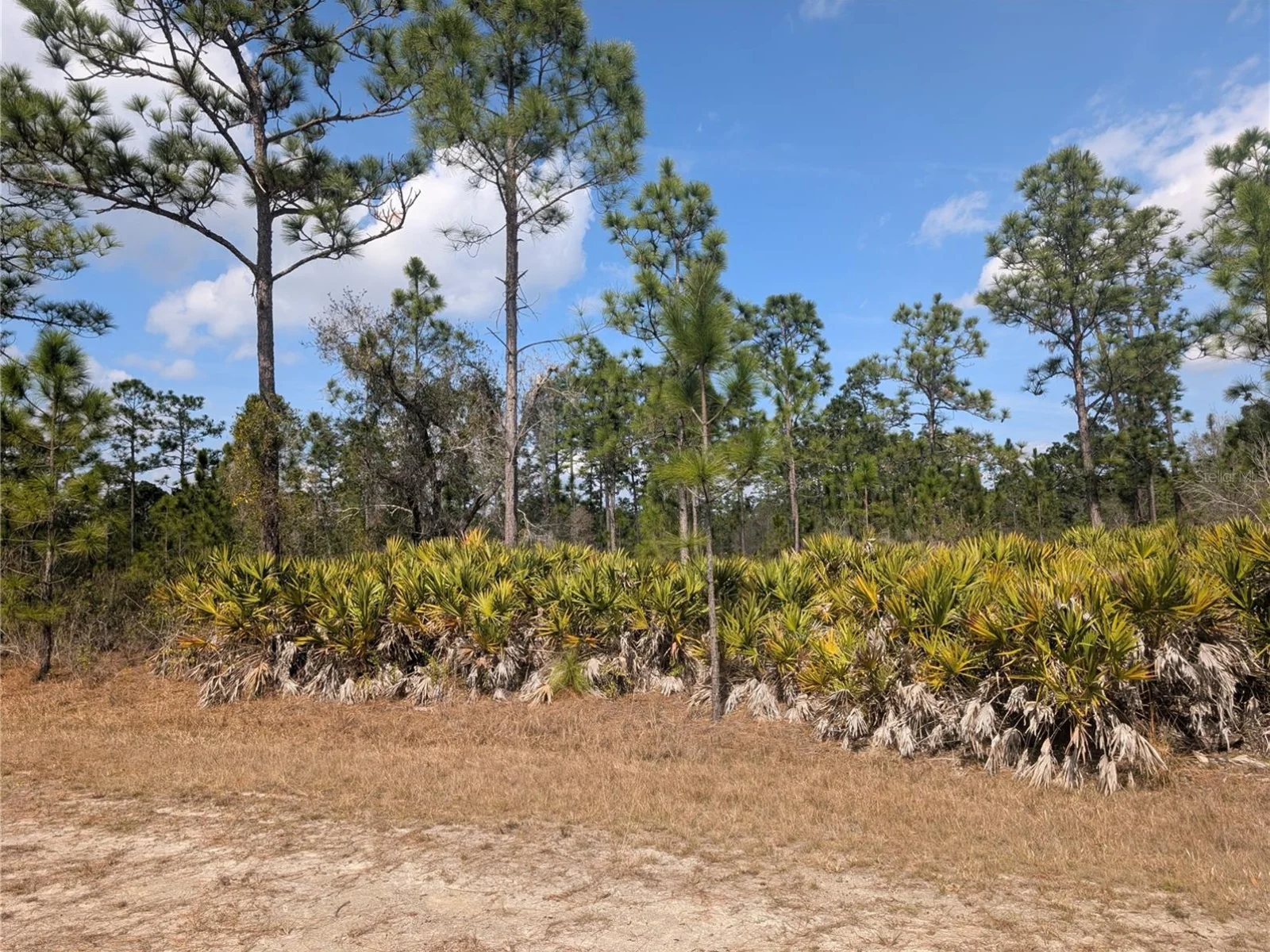 614 ALBA DR, INDIAN LAKE ESTATES, FL — photo 10