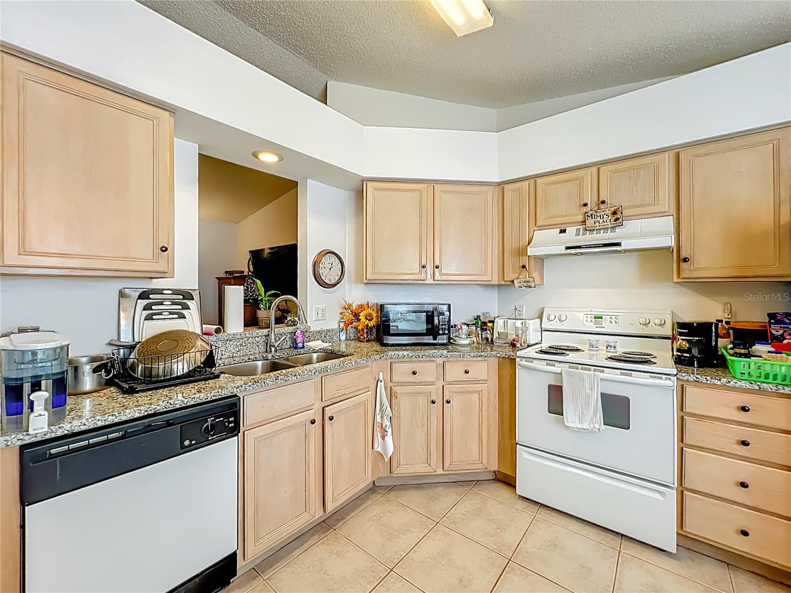 25227 WILD HERON, LEESBURG, FL — photo 11