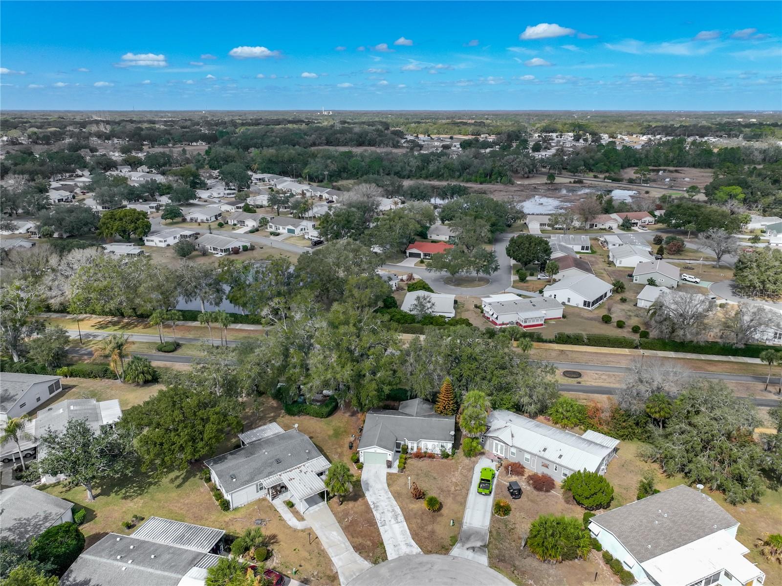 25227 WILD HERON, LEESBURG, FL — photo 59