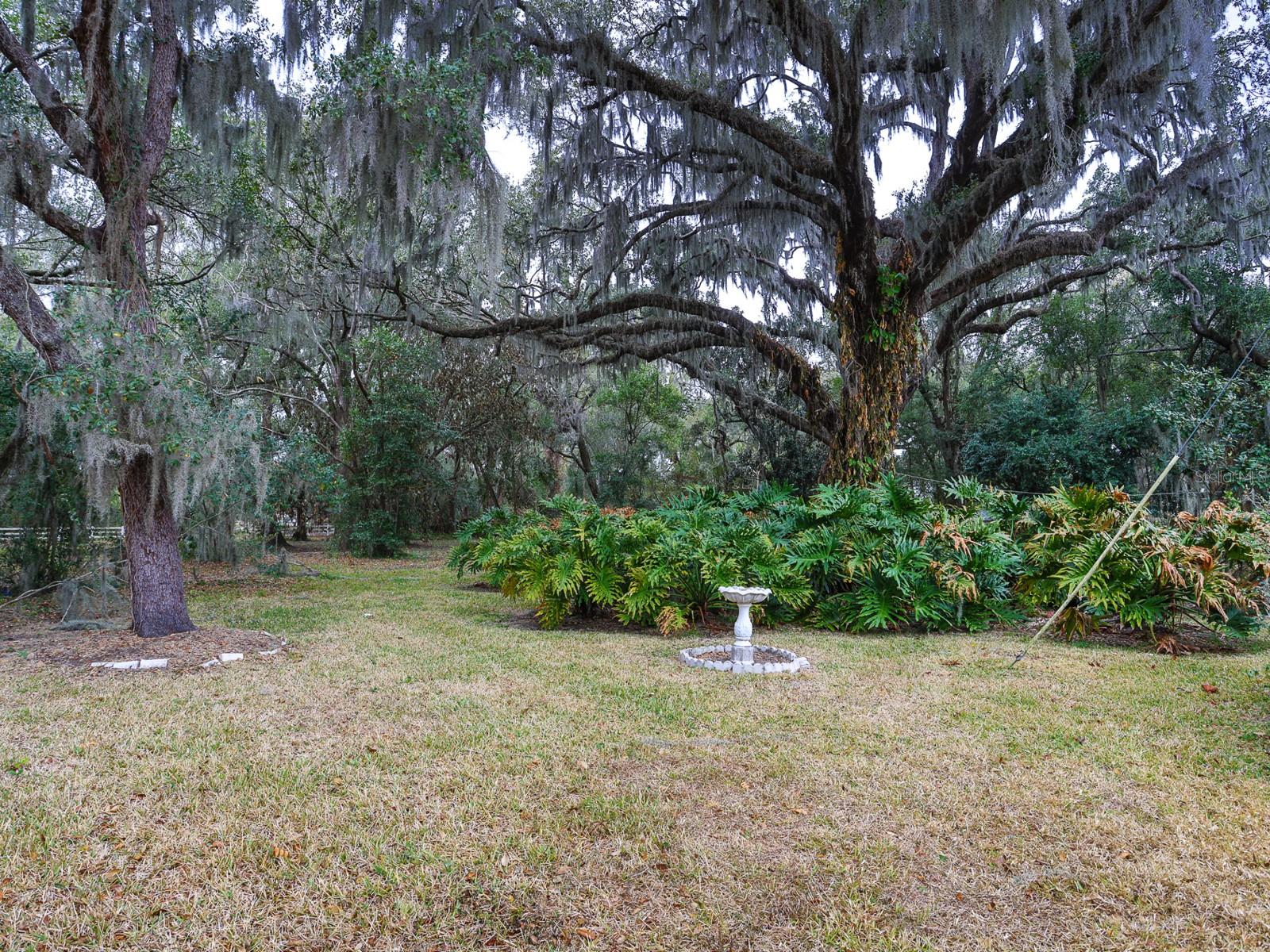 1095 S BROADWAY AVE, BARTOW, FL — photo 48