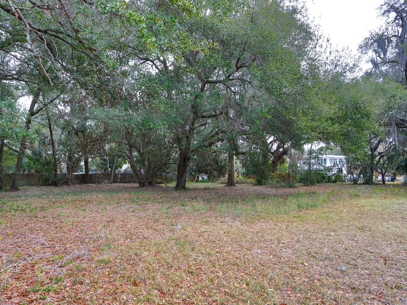 1095 S BROADWAY AVE, BARTOW, FL — photo 49
