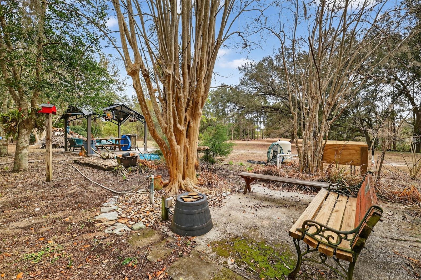40635 THOMAS BOAT LANDING RD, UMATILLA, FL — photo 31
