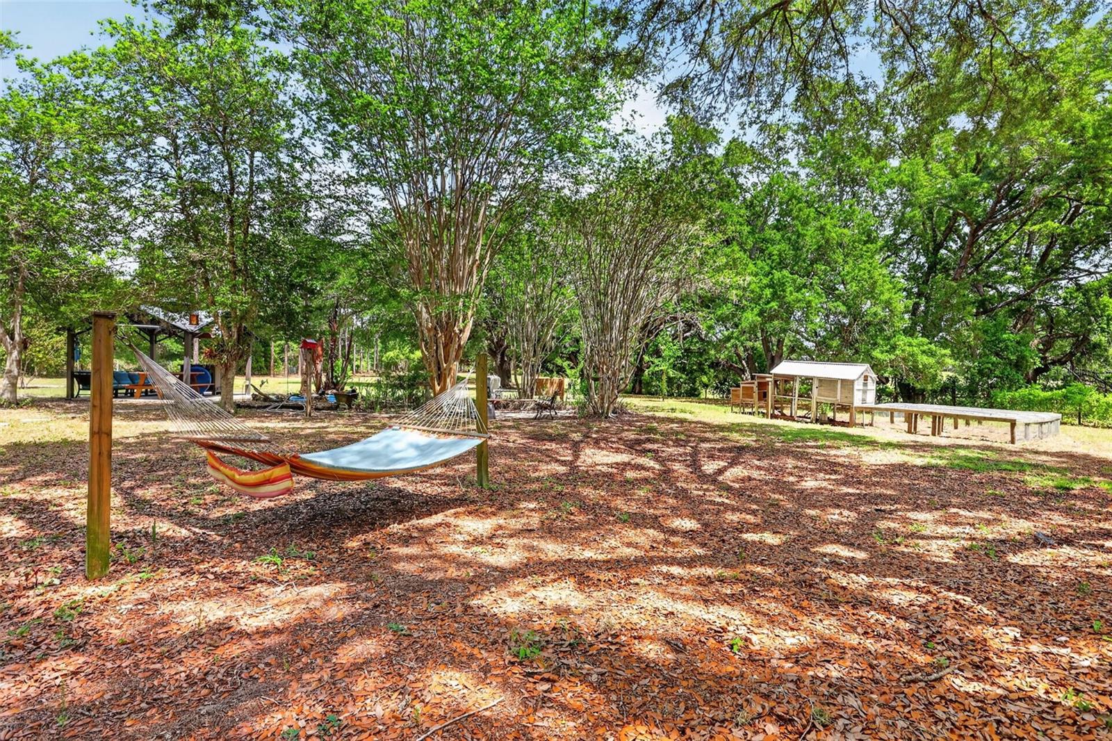 40635 THOMAS BOAT LANDING RD, UMATILLA, FL — photo 25