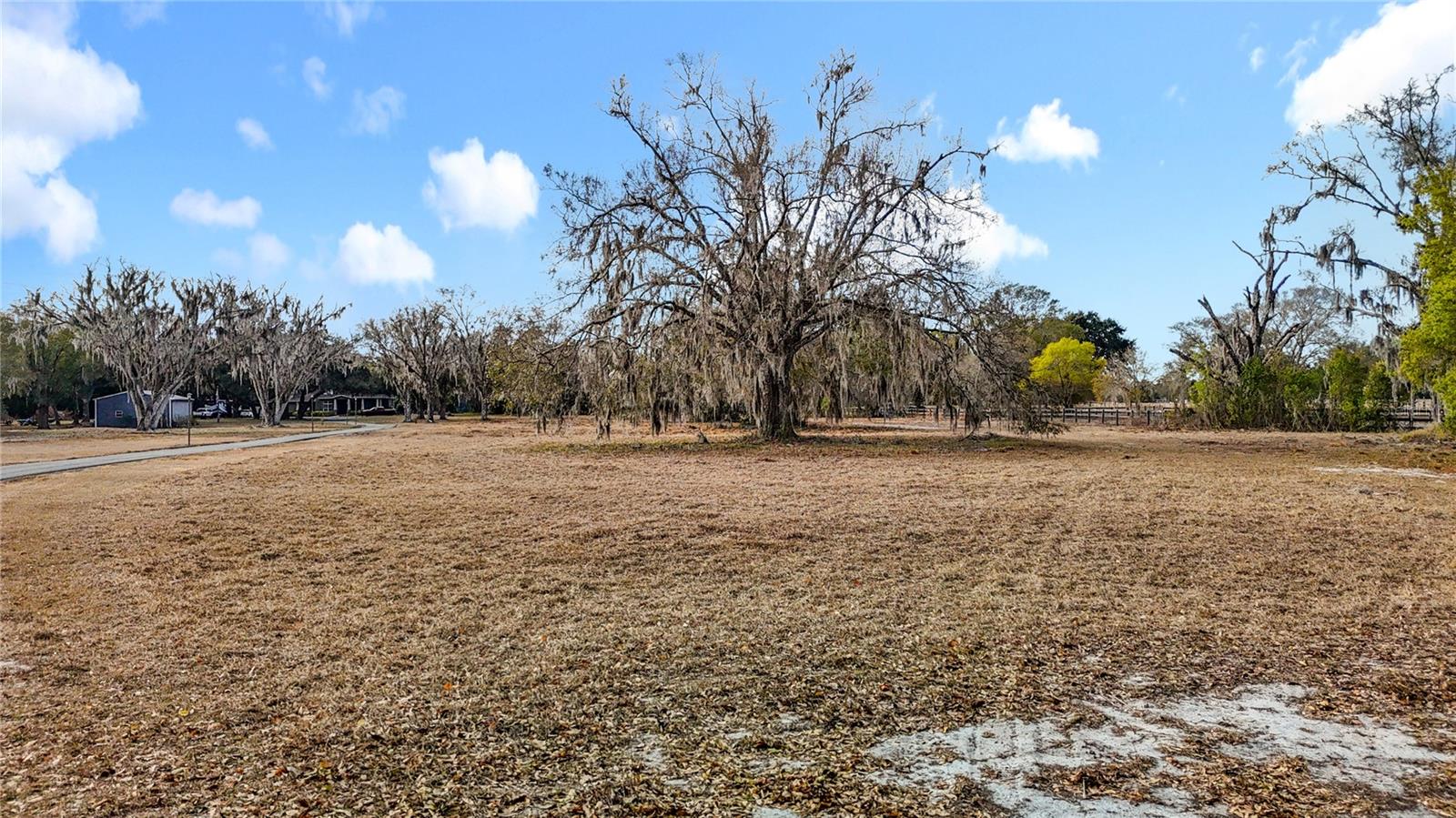 8804 MISTY MORNING TRL, ODESSA, FL — photo 41