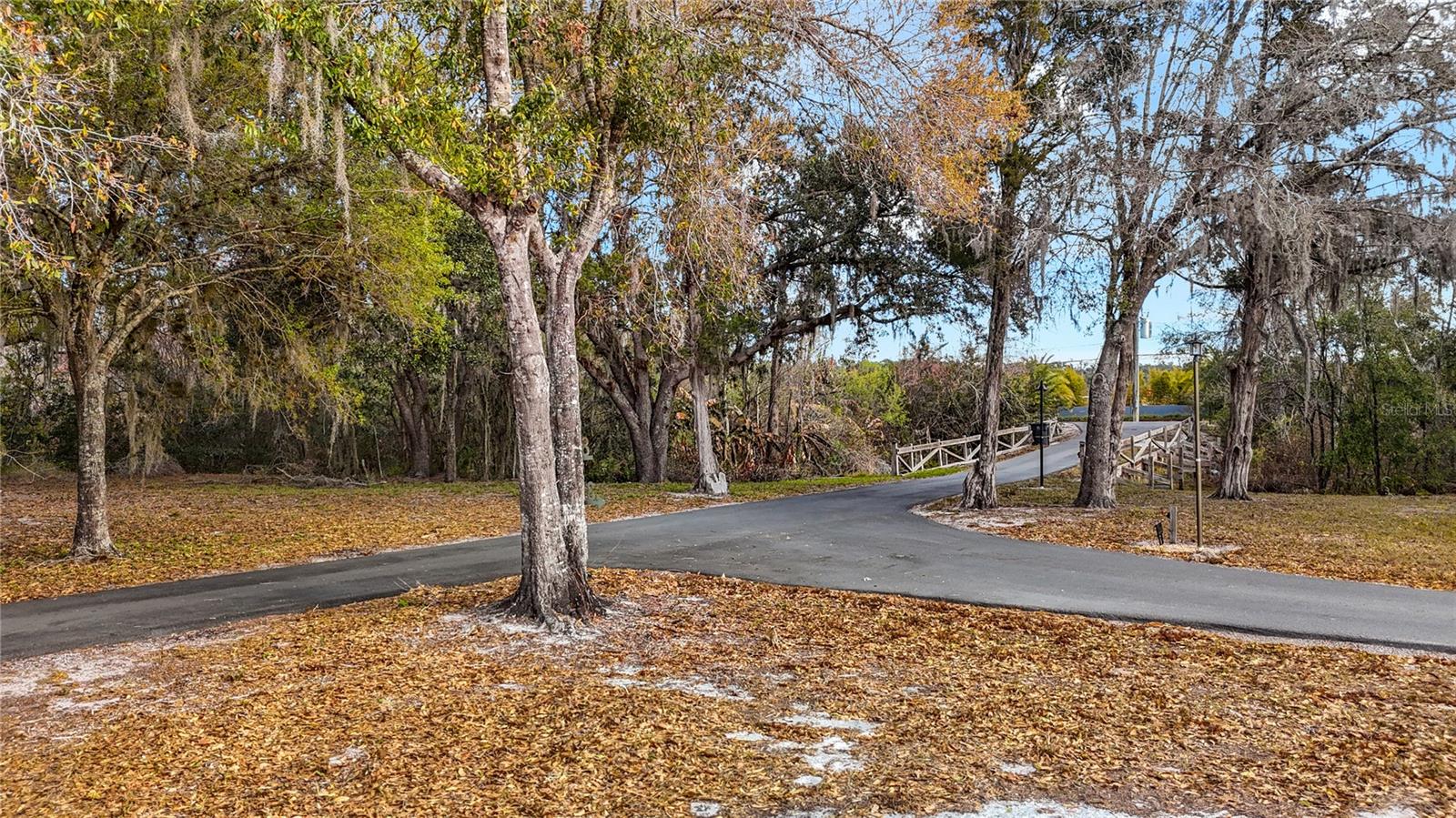 8804 MISTY MORNING TRL, ODESSA, FL — photo 50