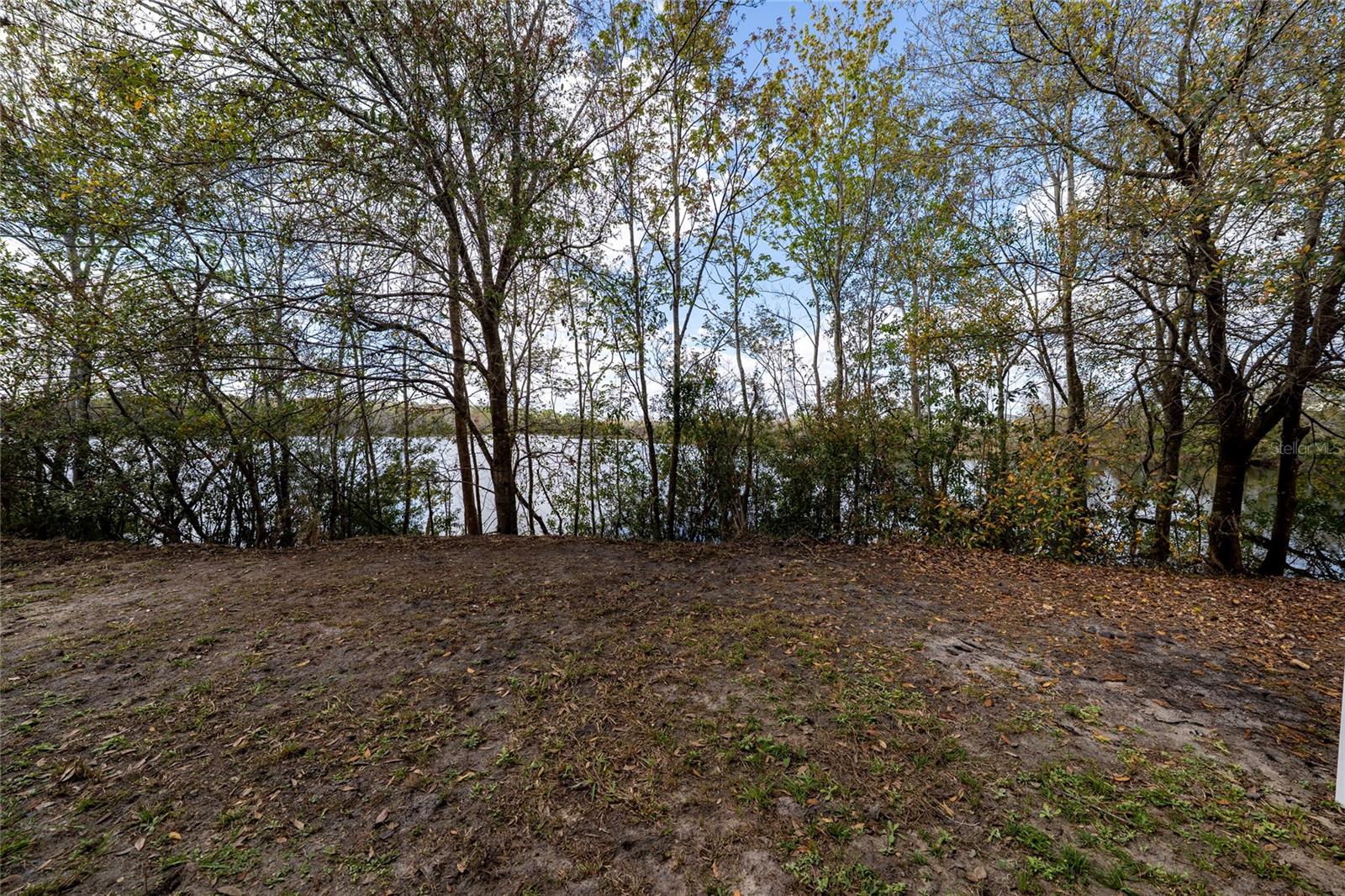 460 LAKE SHORE PKWY, DAVENPORT, FL — photo 30