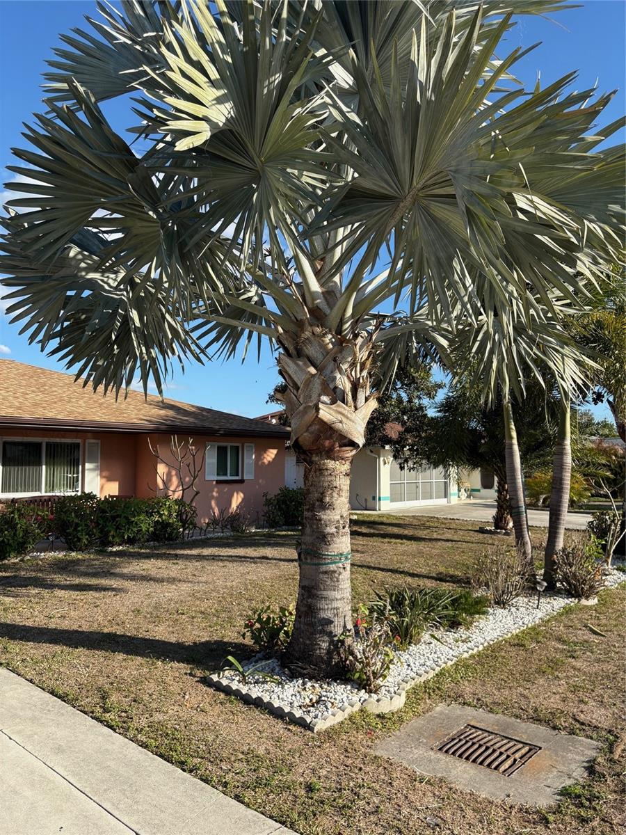 321 VENETIA AVE, NORTH PORT, FL — photo 28