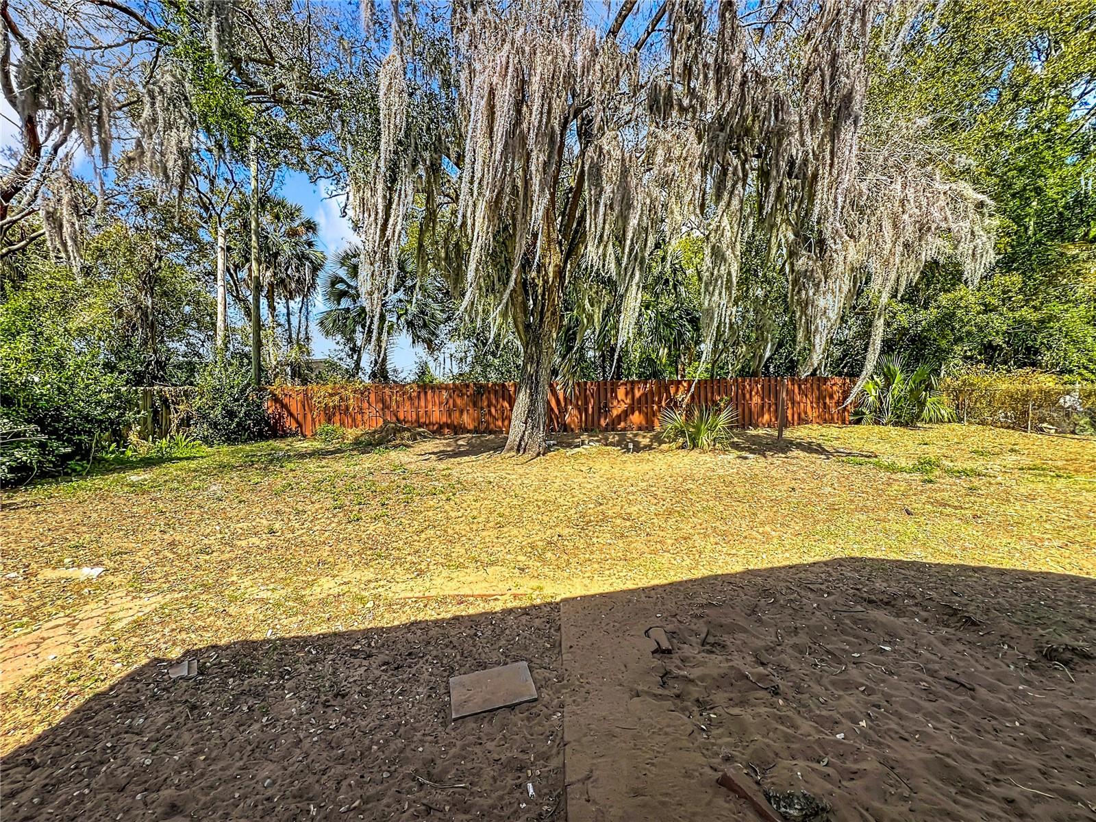 1029 MICHELLE CT, TAVARES, FL — photo 47