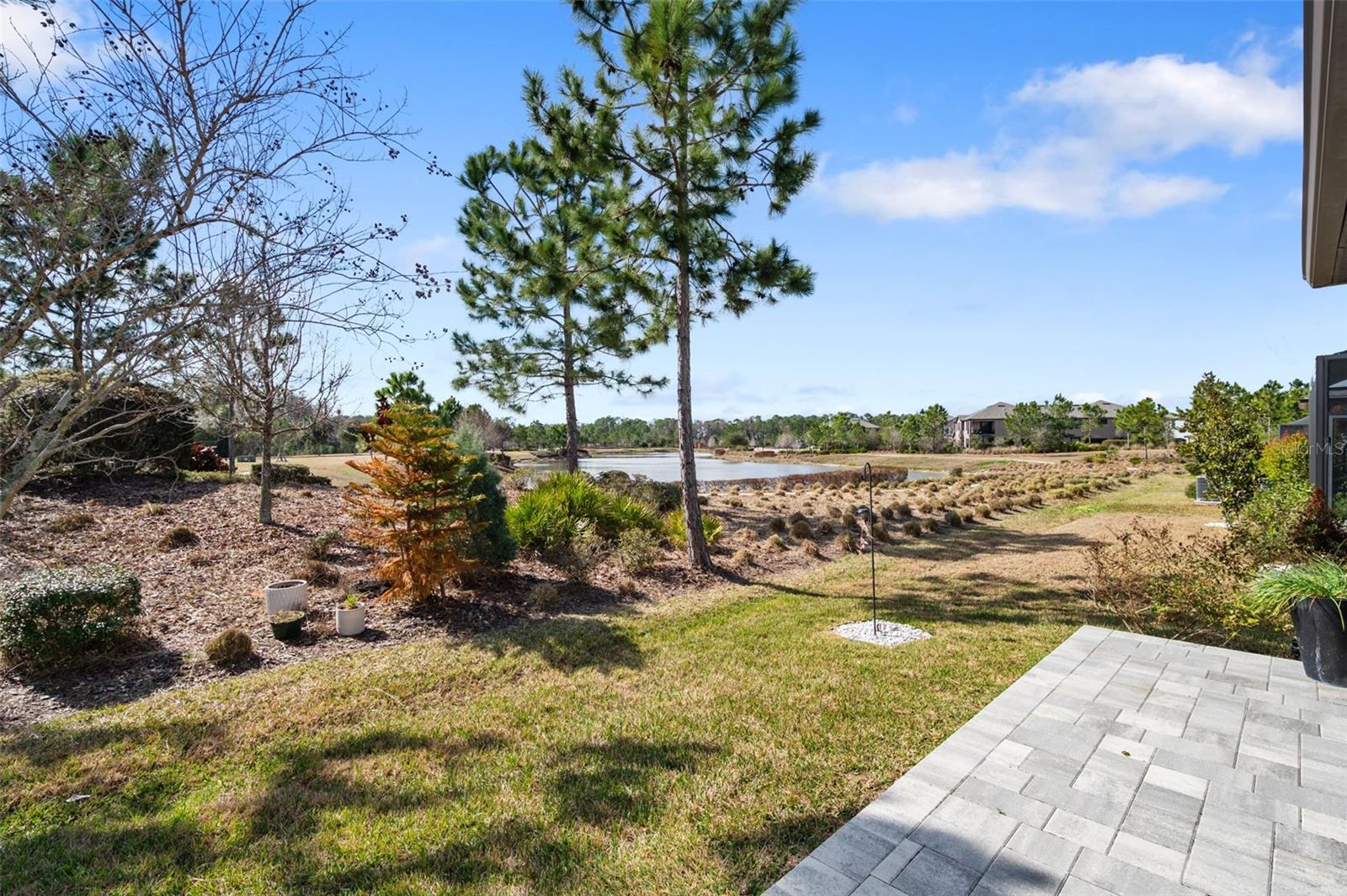 4563 SAN MARTINO DR, WESLEY CHAPEL, FL — photo 35