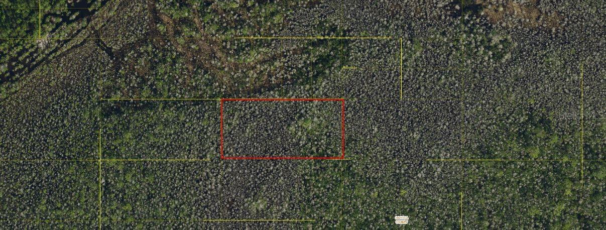 HOLOPAW GROVES RD, ST CLOUD, FL — photo 3