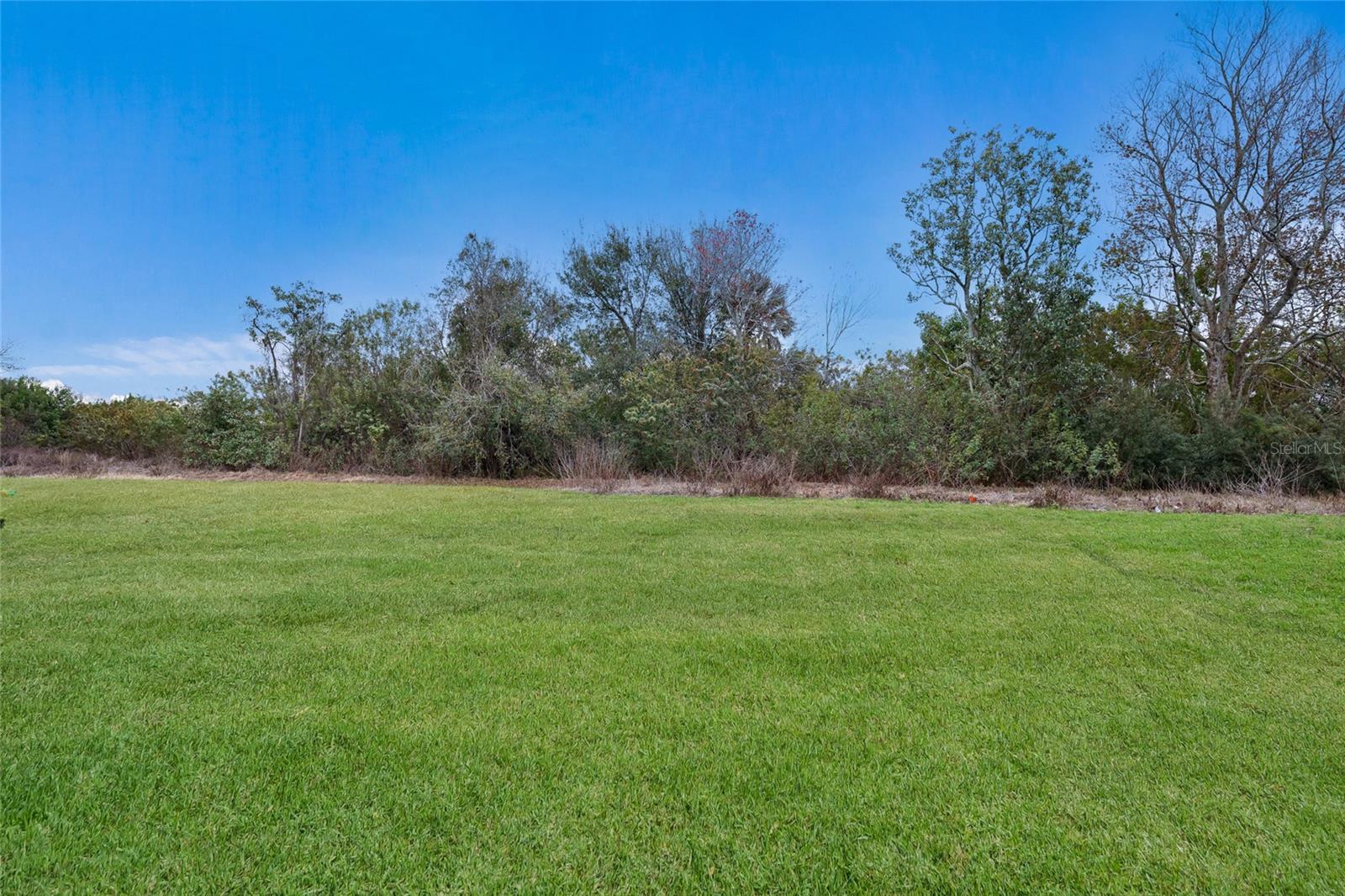 5552 BLUE AZURE DR, WIMAUMA, FL — photo 28