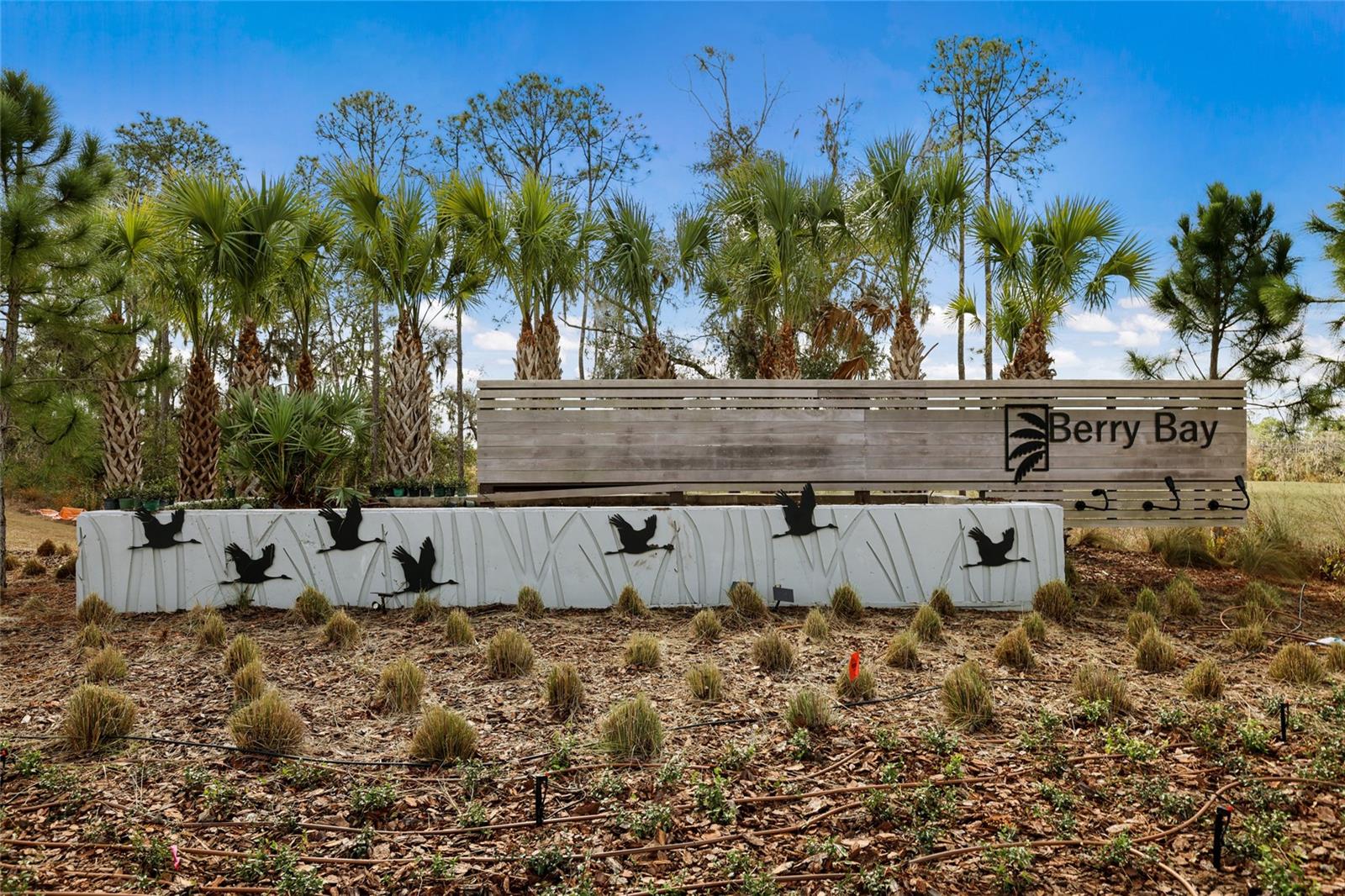 5552 BLUE AZURE DR, WIMAUMA, FL — photo 45