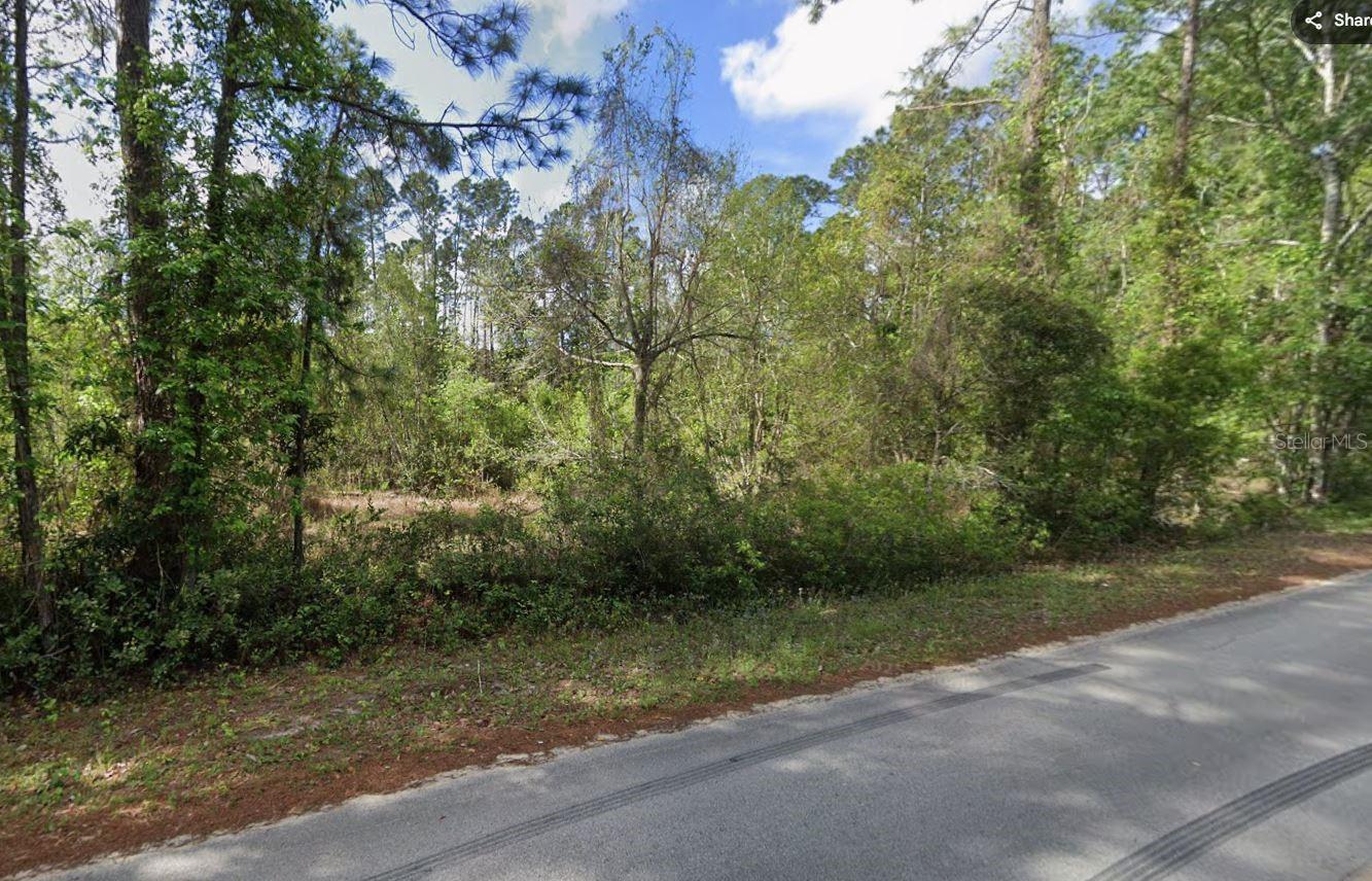 505 HICKORY NUT TRL, SATSUMA, FL