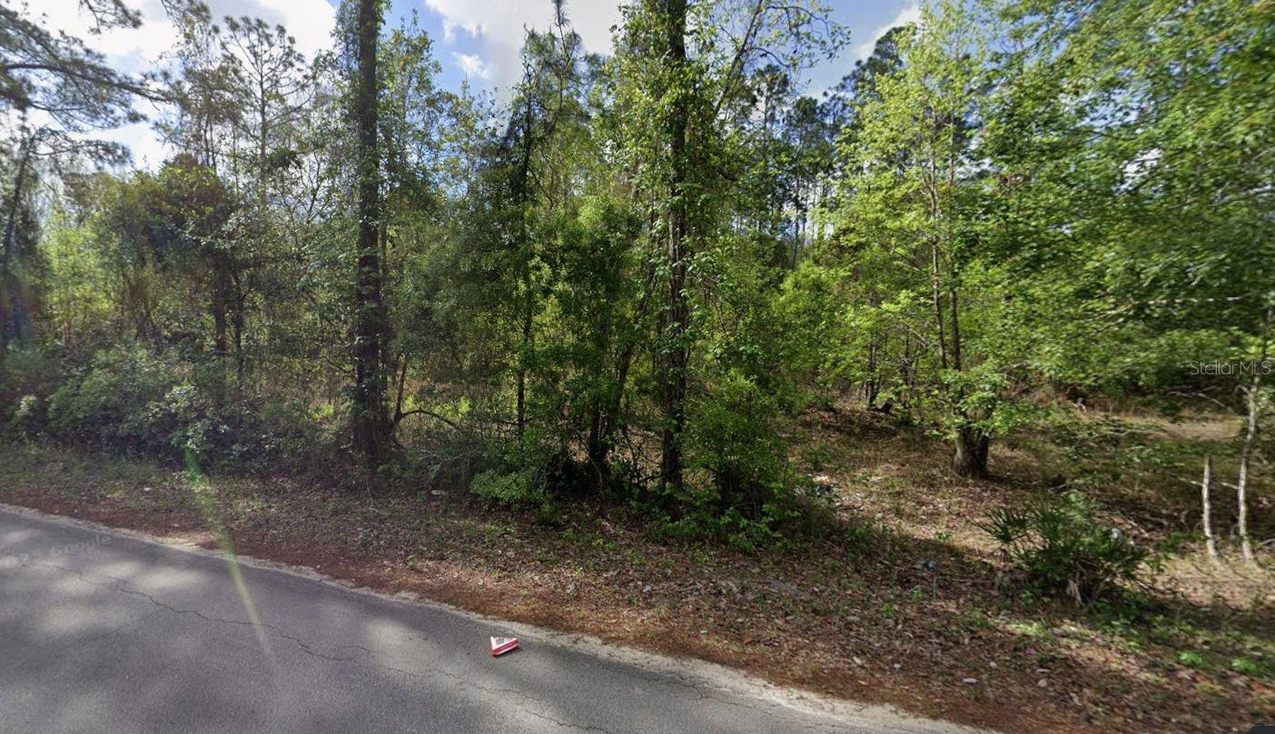 505 HICKORY NUT TRL, SATSUMA, FL — photo 2