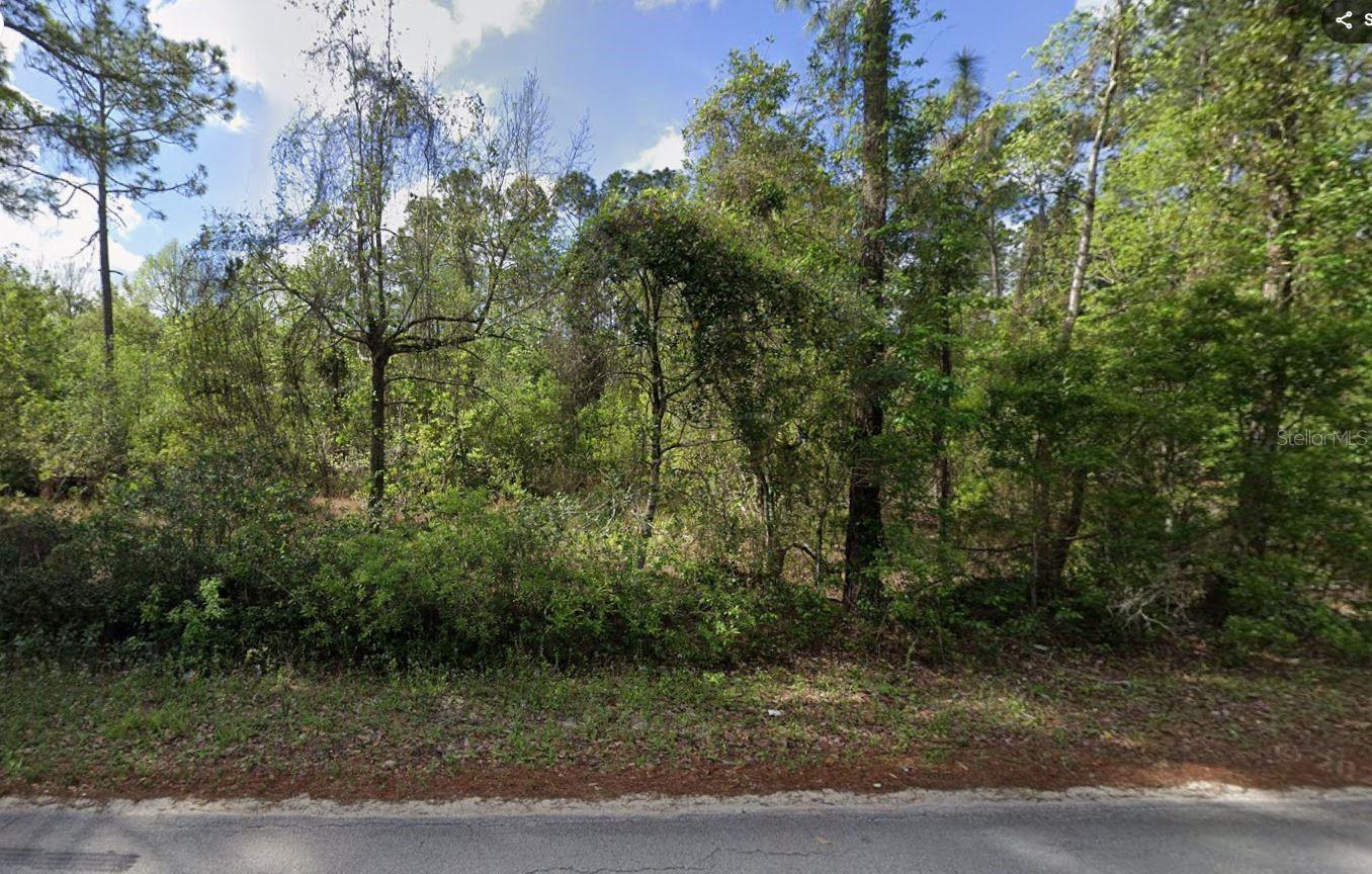 505 HICKORY NUT TRL, SATSUMA, FL — photo 3
