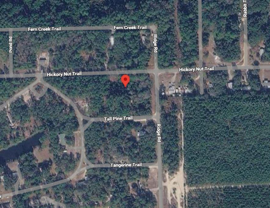 505 HICKORY NUT TRL, SATSUMA, FL — photo 4