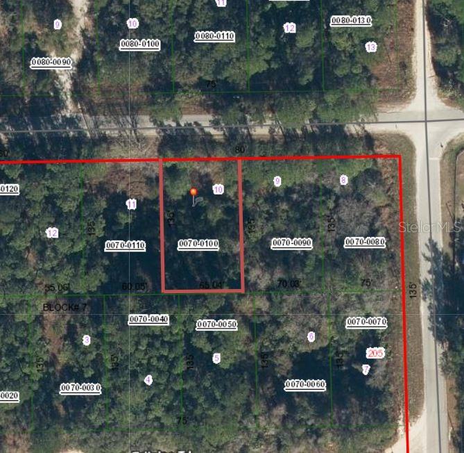 505 HICKORY NUT TRL, SATSUMA, FL — photo 5