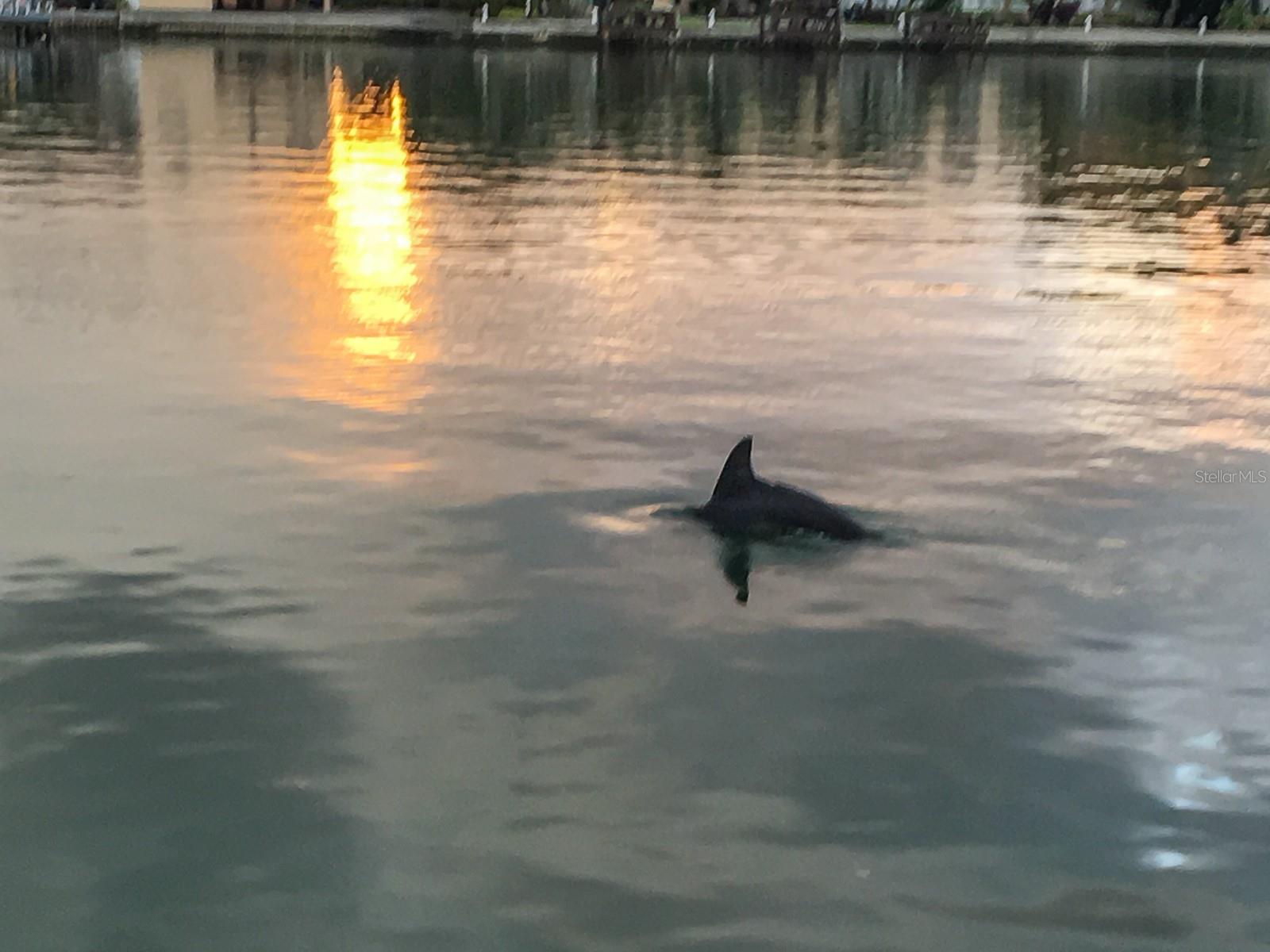 10126 TARPON DR, TREASURE ISLAND, FL — photo 29