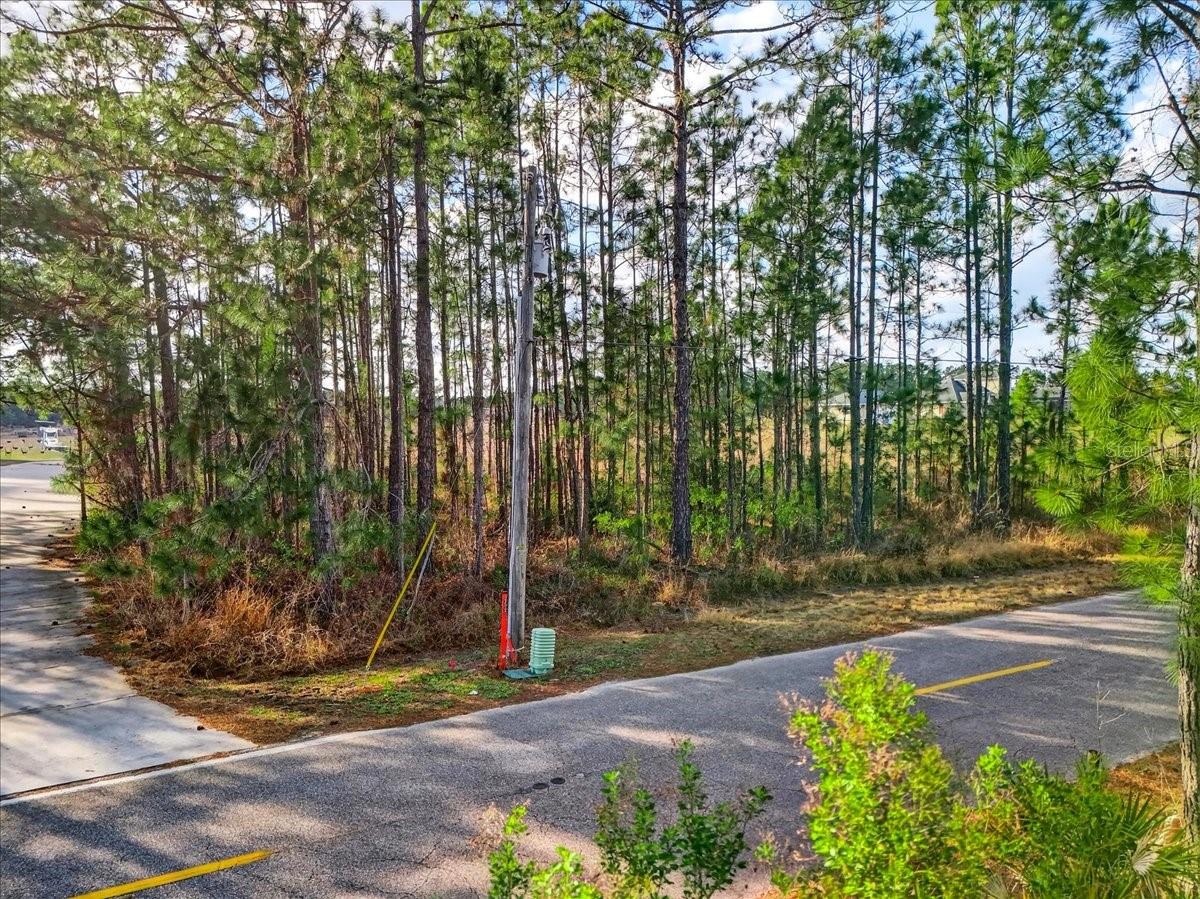 SWEET HILL RD, POLK CITY, FL — photo 12