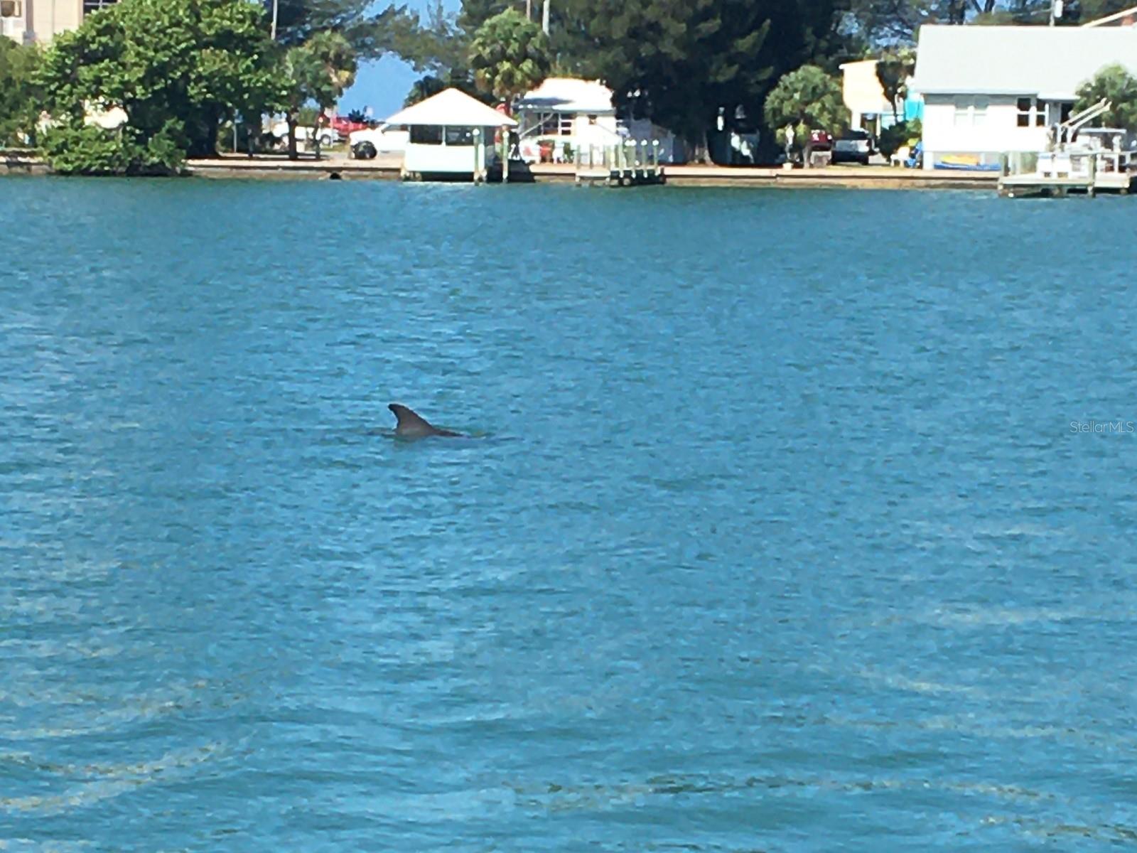 10126 TARPON DR, TREASURE ISLAND, FL — photo 19
