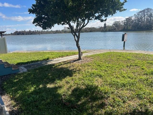 1629 SUNSHINE LN, TAVARES, FL
