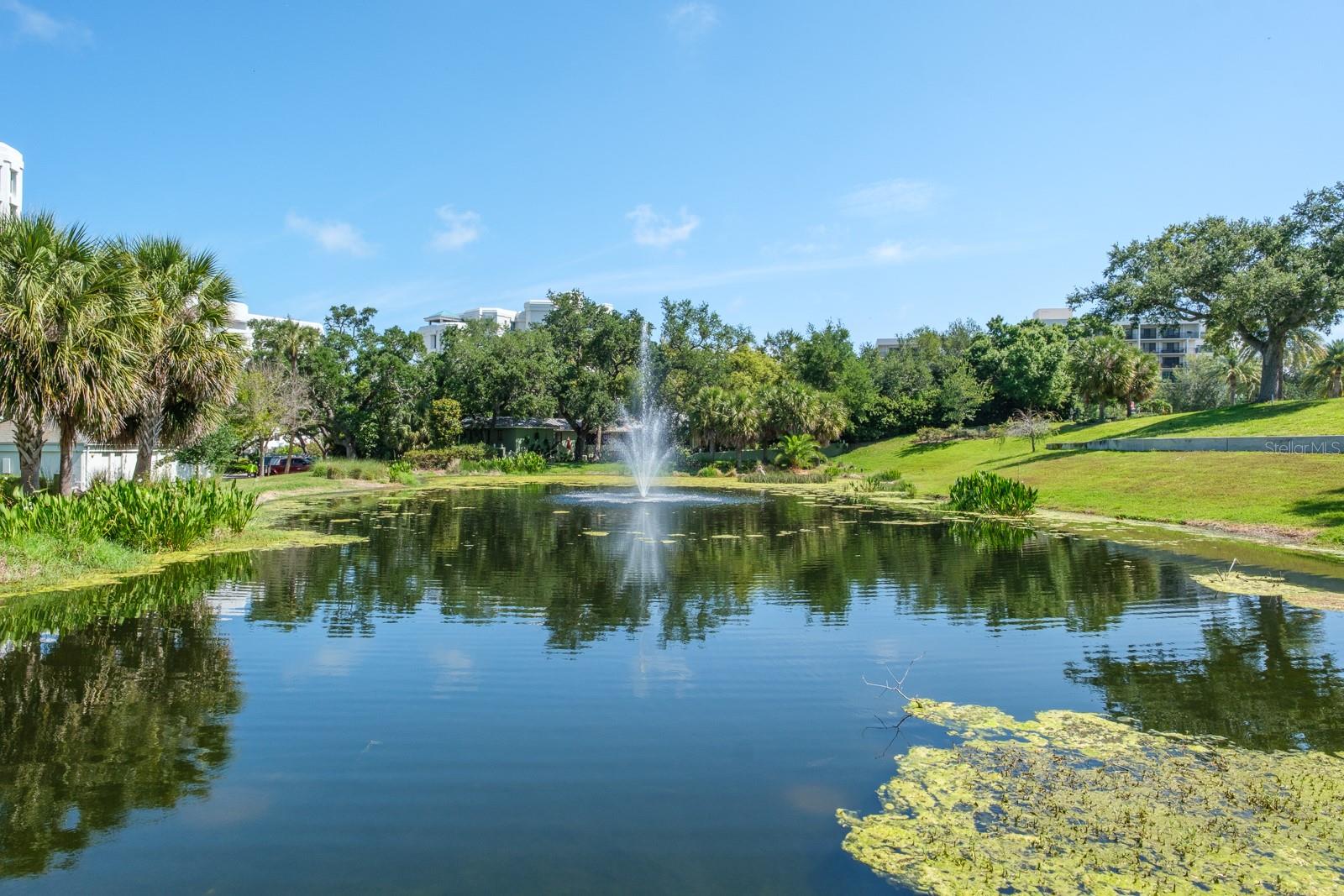 8 BELLEVIEW BLVD #108, BELLEAIR, FL — photo 57