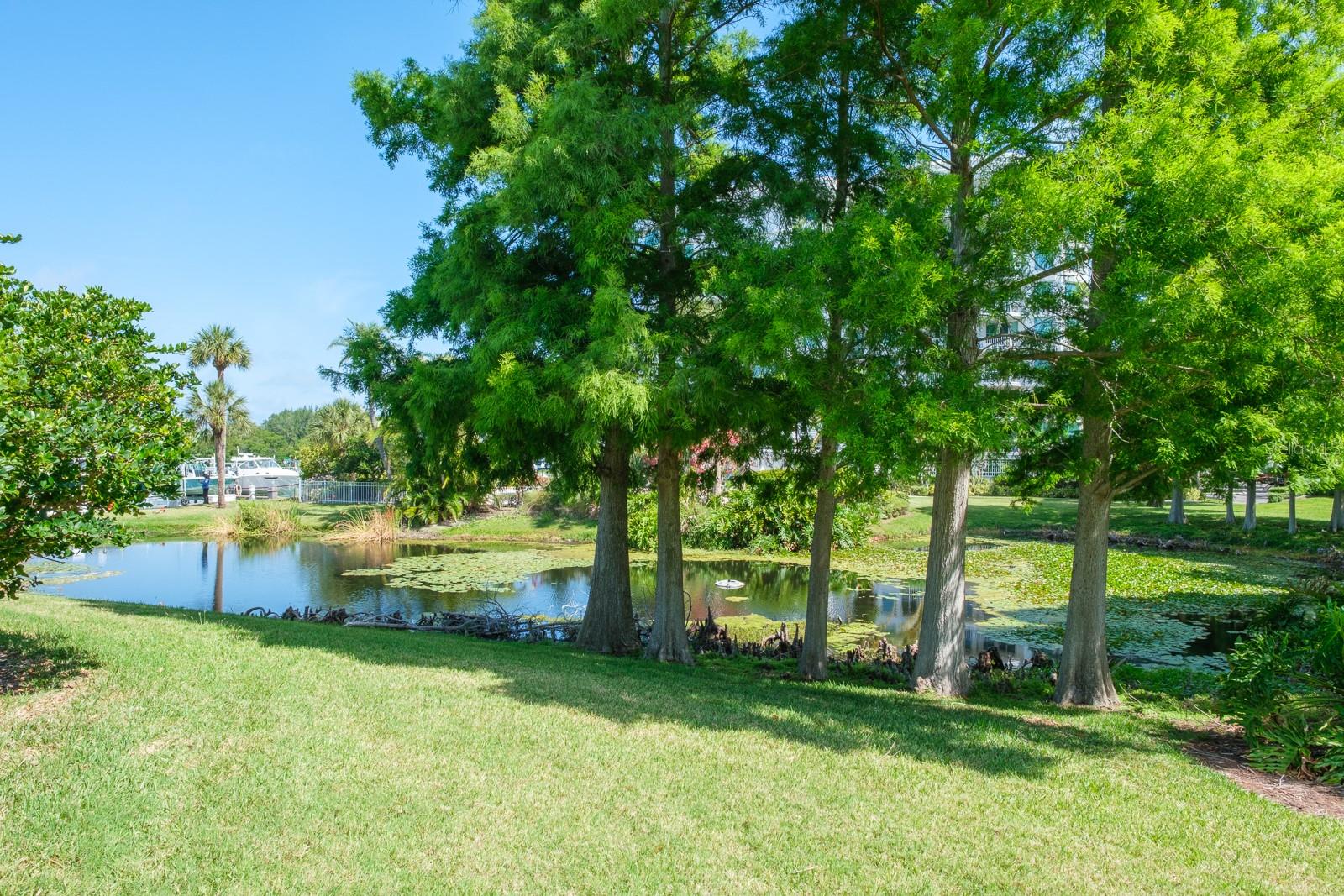 8 BELLEVIEW BLVD #108, BELLEAIR, FL — photo 61
