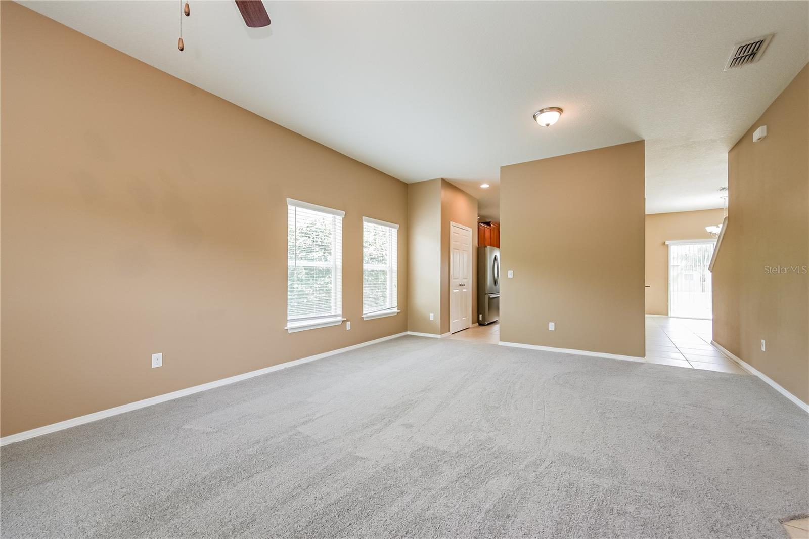 30207 CHEVAL ST, MOUNT DORA, FL — photo 23