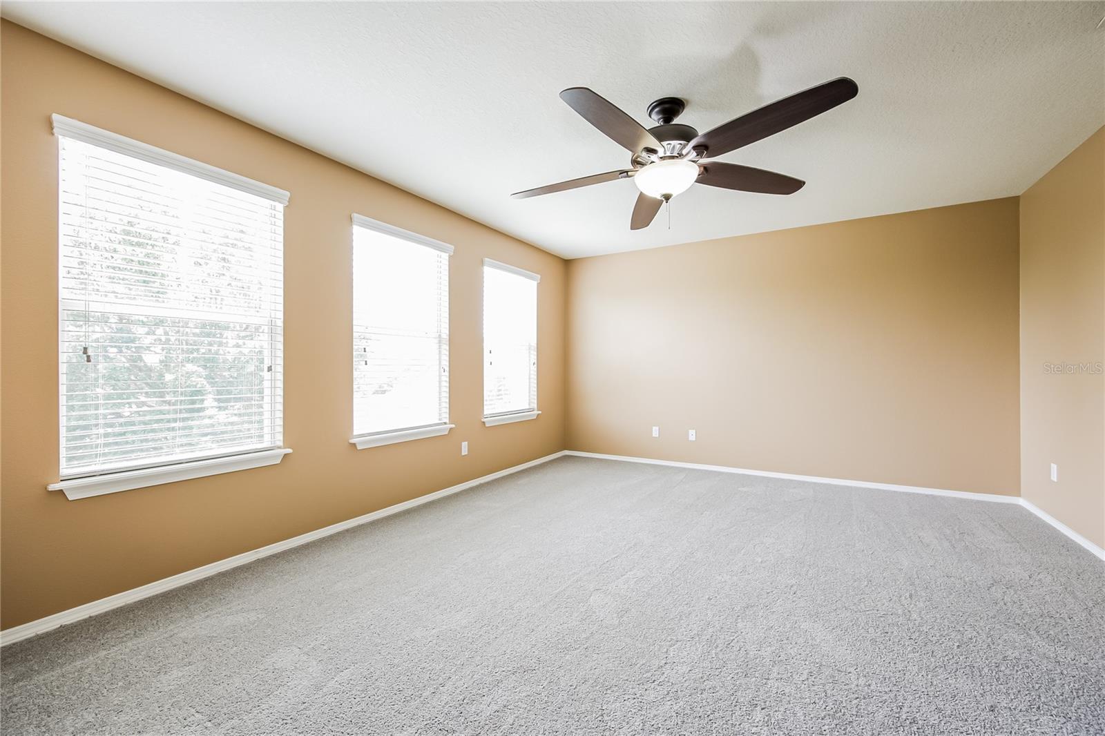30207 CHEVAL ST, MOUNT DORA, FL — photo 28