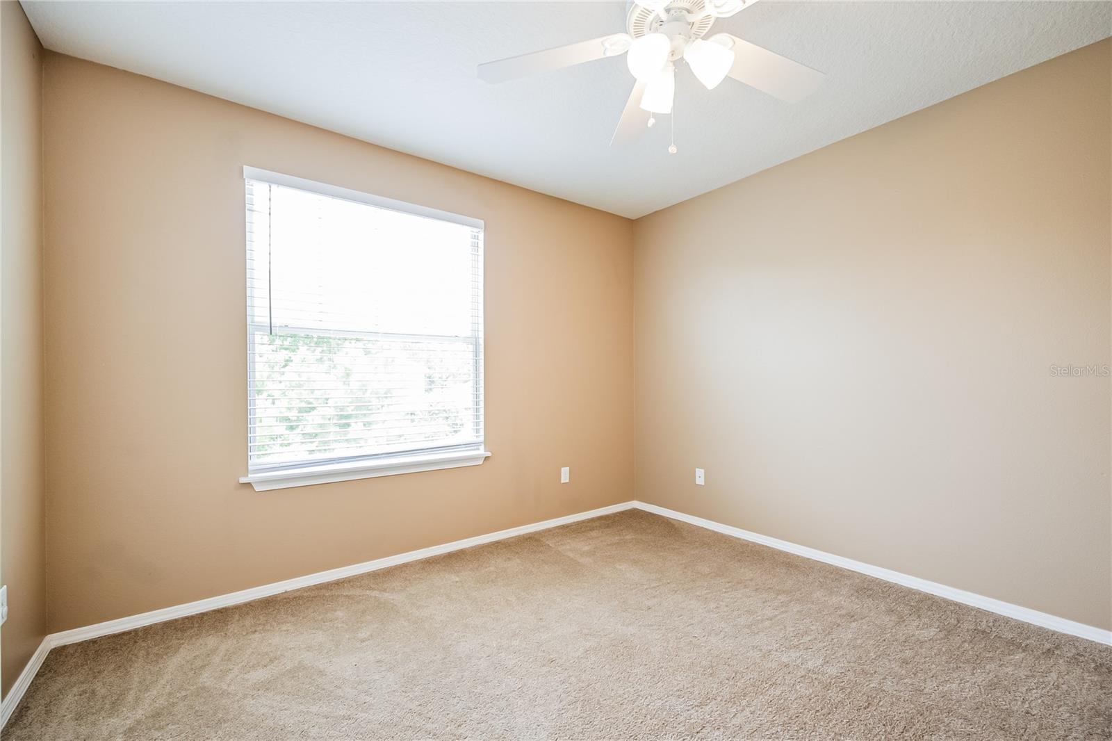 30207 CHEVAL ST, MOUNT DORA, FL — photo 33