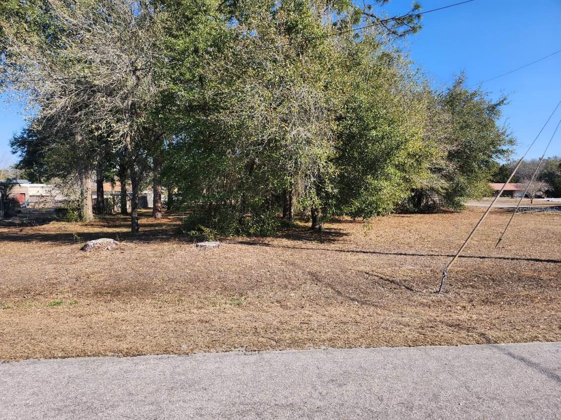 SE 97TH TER, SUMMERFIELD, FL