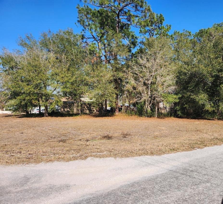 SE 97TH TER, SUMMERFIELD, FL — photo 2