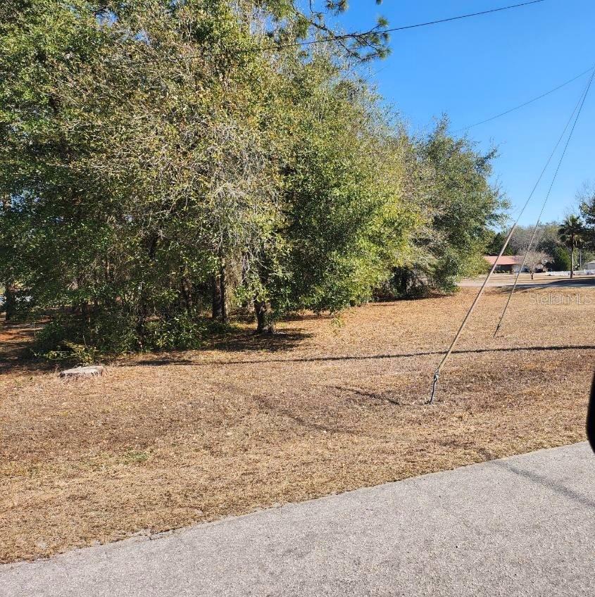 SE 97TH TER, SUMMERFIELD, FL — photo 3