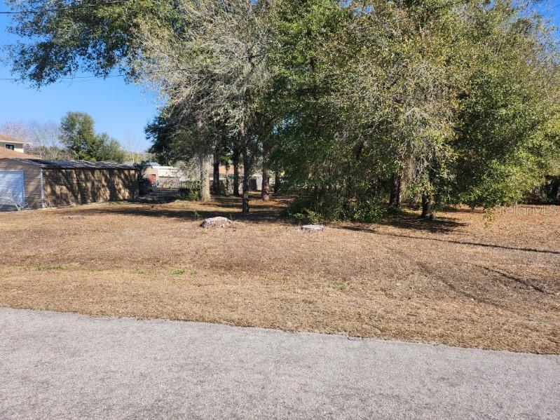 SE 97TH TER, SUMMERFIELD, FL — photo 4
