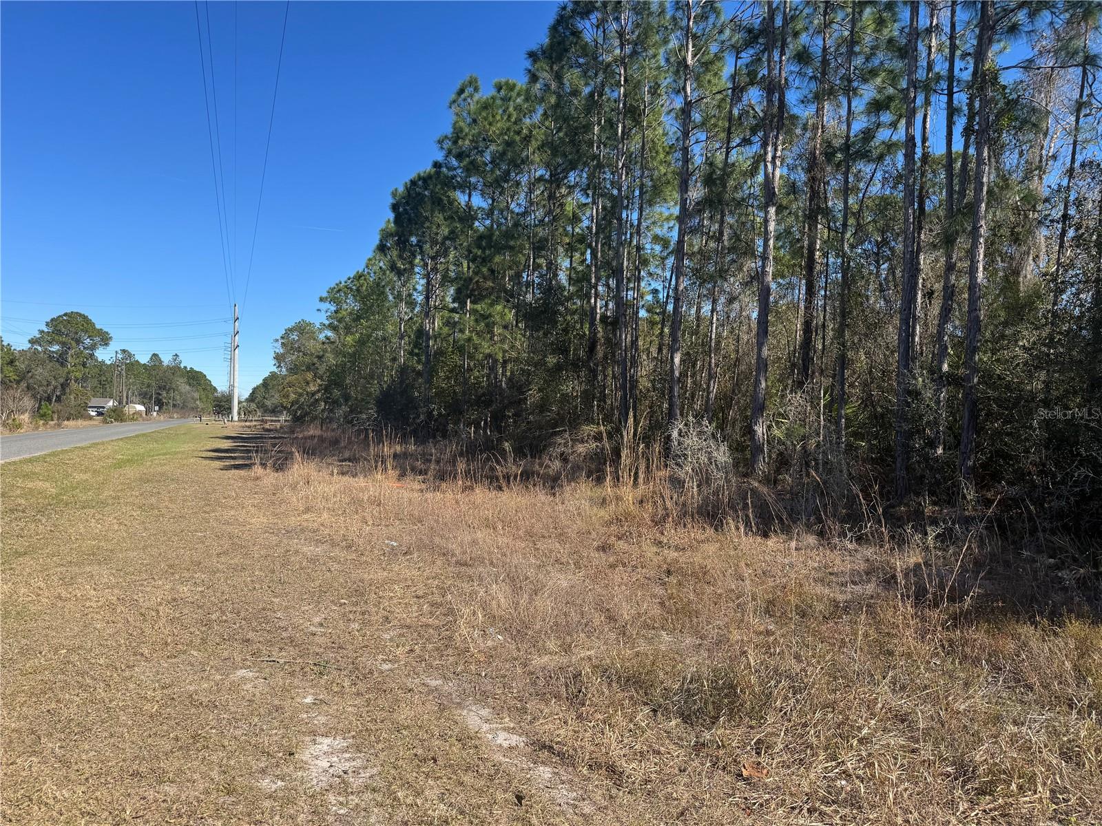 GRACE AVE, DELAND, FL — photo 4